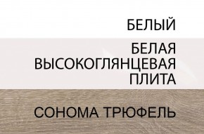 Комод 2D-1S/TYP 34, LINATE ,цвет белый/сонома трюфель в Талице - talica.mebel-74.com | фото