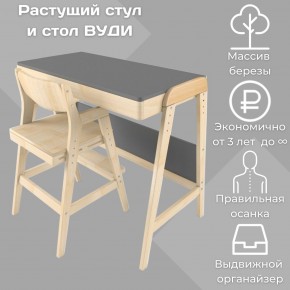 Комплект растущий стол и стул 38 попугаев «Вуди» (Серый, Без покрытия) в Талице - talica.mebel-74.com | фото