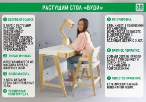 Комплект растущий стол и стул 38 попугаев «Вуди» (Серый, Без покрытия) в Талице - talica.mebel-74.com | фото