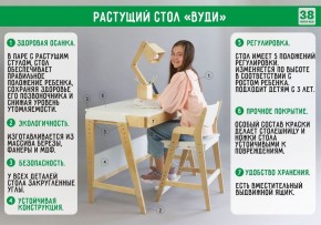 Комплект растущий стол и стул с чехлом 38 попугаев «Вуди» (Белый, Белый, Салют) в Талице - talica.mebel-74.com | фото