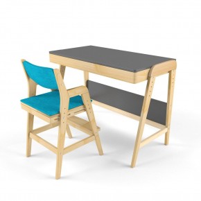 Комплект растущий стол и стул с чехлом 38 попугаев «Вуди» (Серый, Без покрытия, Лазурь) в Талице - talica.mebel-74.com | фото