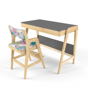 Комплект растущий стол и стул с чехлом 38 попугаев «Вуди» (Серый, Без покрытия, Мечта) в Талице - talica.mebel-74.com | фото