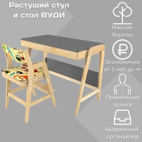 Комплект растущий стол и стул с чехлом 38 попугаев «Вуди» (Серый, Без покрытия, Монстры) в Талице - talica.mebel-74.com | фото