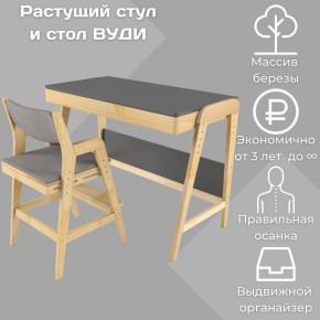 Комплект растущий стол и стул с чехлом 38 попугаев «Вуди» (Серый, Без покрытия, Серый) в Талице - talica.mebel-74.com | фото