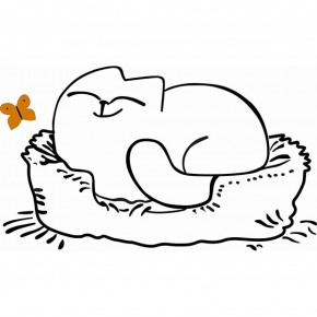 Кровать двухуровневая Кот № 900.1 ЛЕВАЯ (туя светлая/белый) в Талице - talica.mebel-74.com | фото