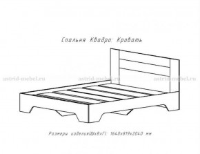 КВАДРО-2 Кровать 1600 с основанием и ПМ (ЦРК.КВД.04 кровать с ортопед. с ПМ) в Талице - talica.mebel-74.com | фото