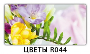 Обеденный раздвижной стол Бриз с фотопечатью Цветы R044 в Талице - talica.mebel-74.com | фото