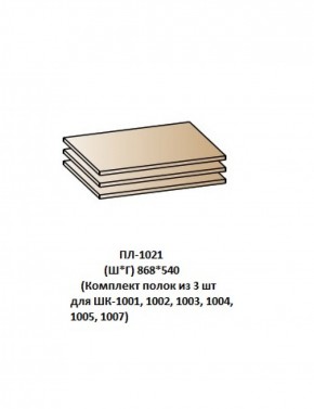 ПЛ-1021 (Комплект полок из 3 шт для ШК-1001, 1002, 1003, 1004, 1005, 1007) в Талице - talica.mebel-74.com | фото