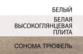 Шкаф 2D/TYP 20A, LINATE ,цвет белый/сонома трюфель в Талице - talica.mebel-74.com | фото