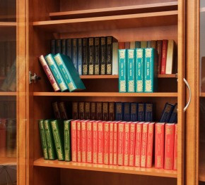 Шкаф для книг арт. 200 в Талице - talica.mebel-74.com | фото