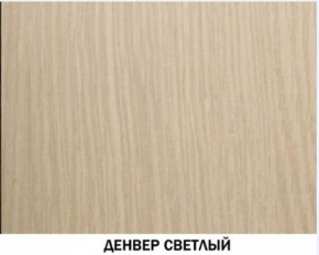 Шкаф для одежды №609 "Инна" Денвер светлый (*без полок) в Талице - talica.mebel-74.com | фото