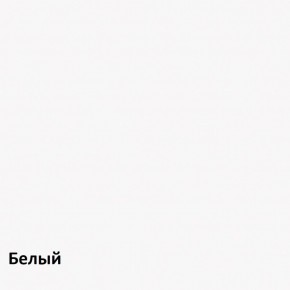 Шкаф-купе Лофт 1600 Шк16-47 (Дуб Сонома) в Талице - talica.mebel-74.com | фото