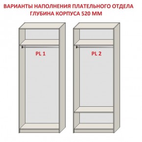Шкаф распашной серия «ЗЕВС» (PL3/С1/PL2) в Талице - talica.mebel-74.com | фото