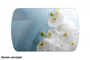 Стол Бостон 900*600 (опоры Брифинг) Стекло/фотопечать Белая Орхидея в Талице - talica.mebel-74.com | фото