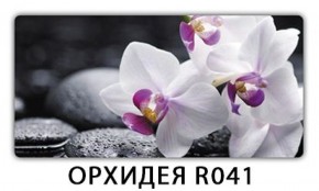 Стол обеденный Трилогия с фотопечатью Орхидея R041 в Талице - talica.mebel-74.com | фото