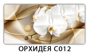 Стол раздвижной Трилогия с фотопечатью Орхидея R041 в Талице - talica.mebel-74.com | фото
