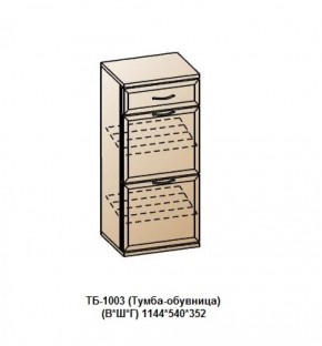 ТБ-1003 (Тумба-обувница) в Талице - talica.mebel-74.com | фото